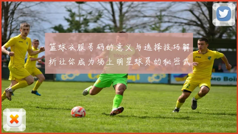 篮球衣服号码的意义与选择技巧解析让你成为场上明星球员的秘密武器