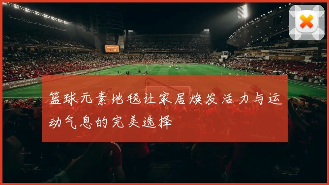 篮球元素地毯让家居焕发活力与运动气息的完美选择