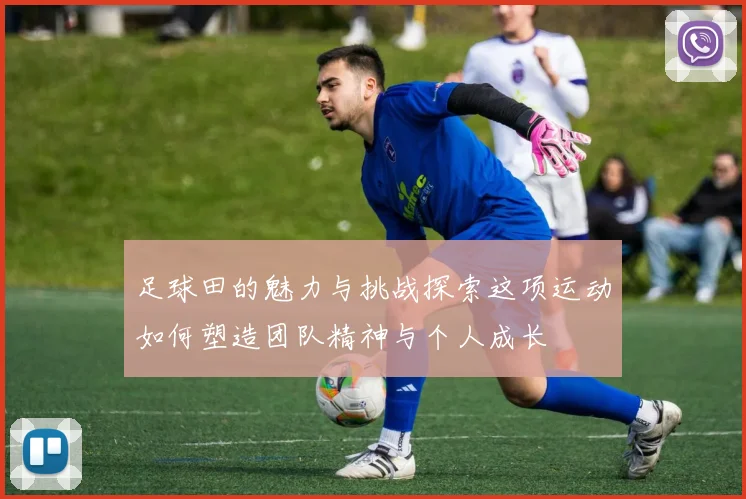 足球田的魅力与挑战探索这项运动如何塑造团队精神与个人成长
